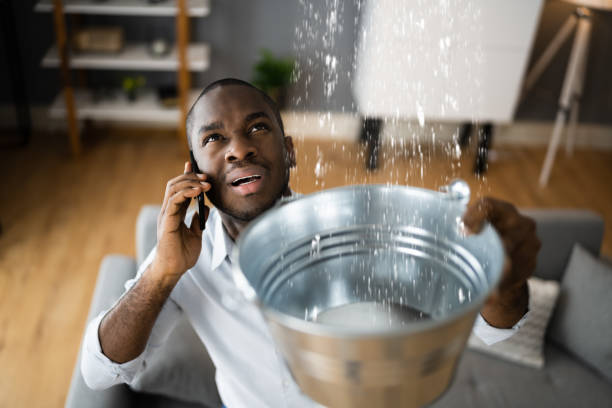  Dry Ridge, KY Water damage restoration Pros