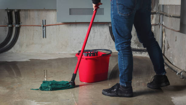 Best Emergency water damage restoration  in Dry Ridge, KY