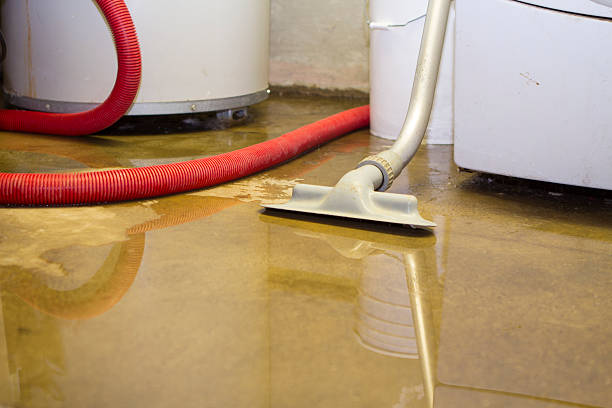 Best Sewage cleanup and water damage restoration  in Dry Ridge, KY