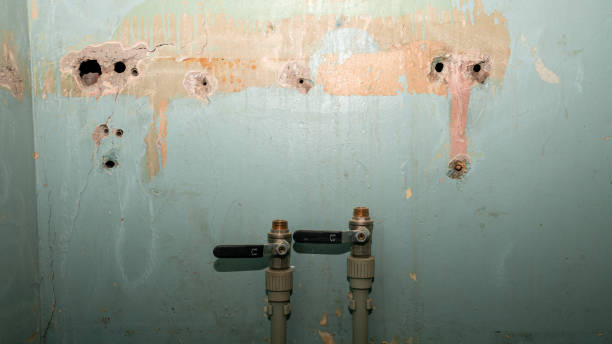 Best Professional water damage repair  in Dry Ridge, KY