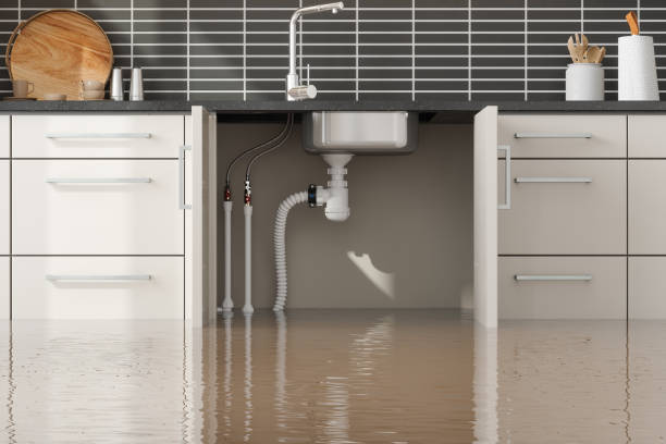 Best Basement water damage restoration  in Dry Ridge, KY