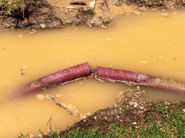 Best Water damage restoration specialists  in Dry Ridge, KY