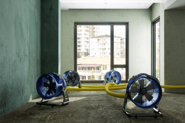 Best Sewage cleanup and water damage restoration  in Dry Ridge, KY