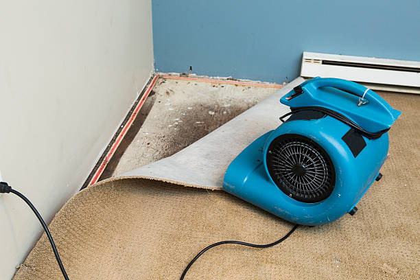 Sewage cleanup and water damage restoration in Dry Ridge, KY